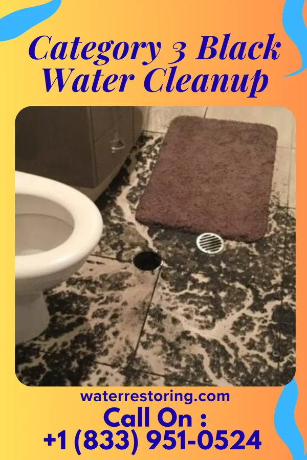 Category 3 Black Water Cleanup in Middletown, MD