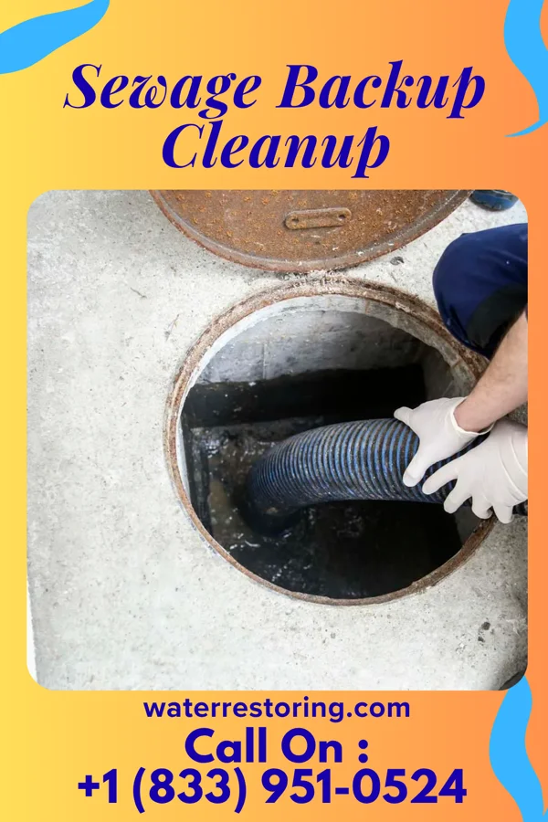 Sewage Backup Cleanup in Middletown, MD